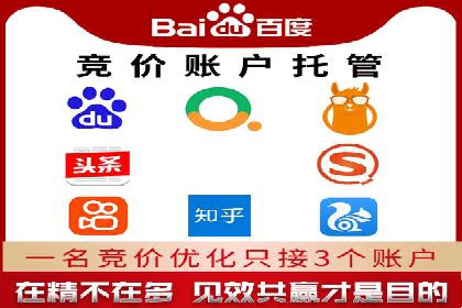 深入了解SEM竞价代运营公司：成功背后的故事